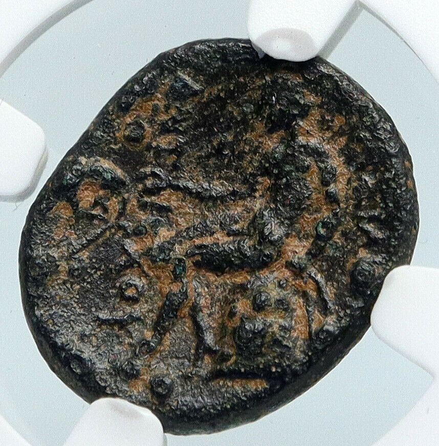 ANTIOCHOS I Soter 281BC Seleukid Authentic Ancient Greek Coin Apollo NGC i89566