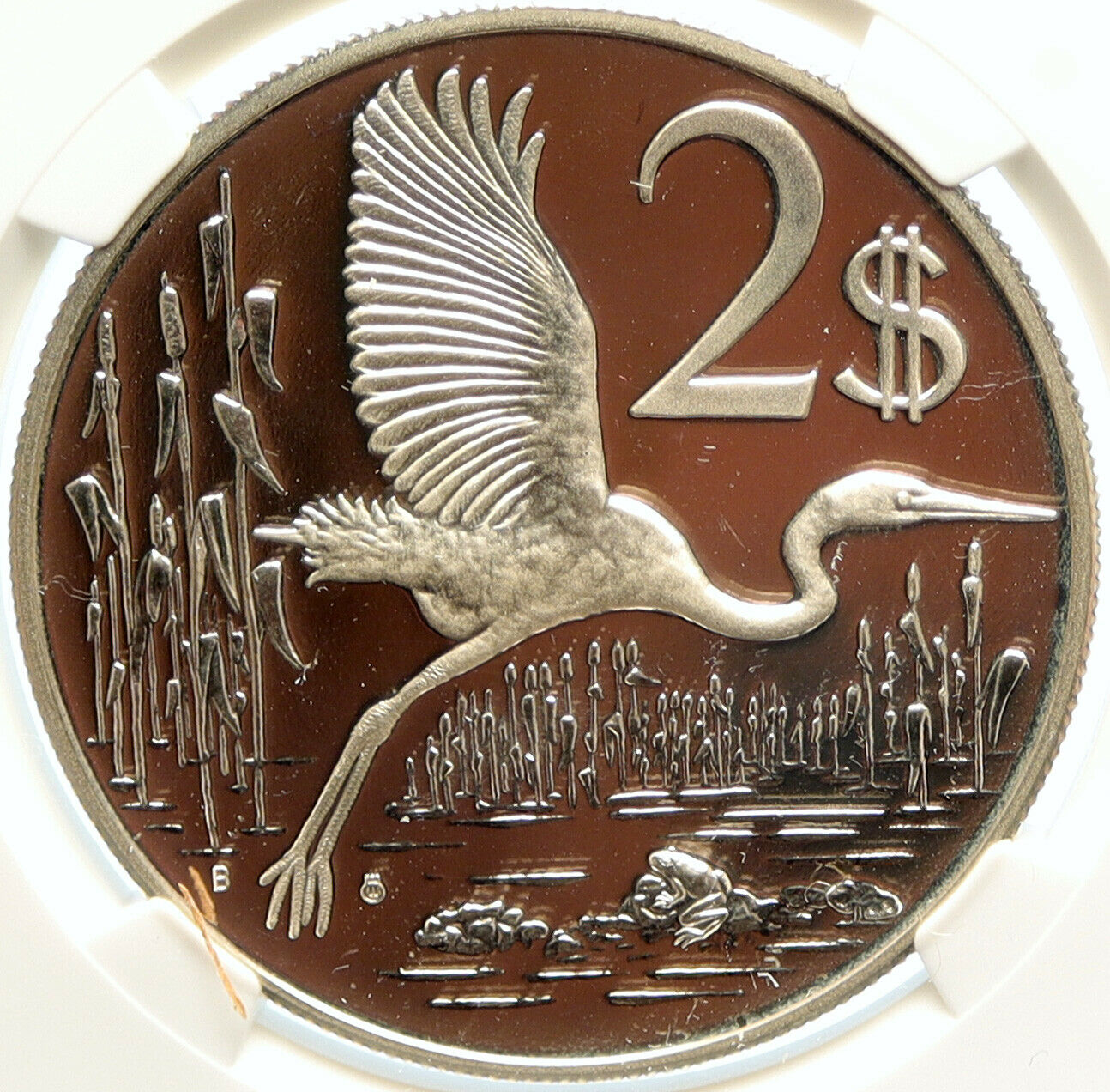 1977 CAYMAN ISLANDS 4.0cm GREAT BLUE HERON BIRD Proof Silver $2 Coin NGC i99632