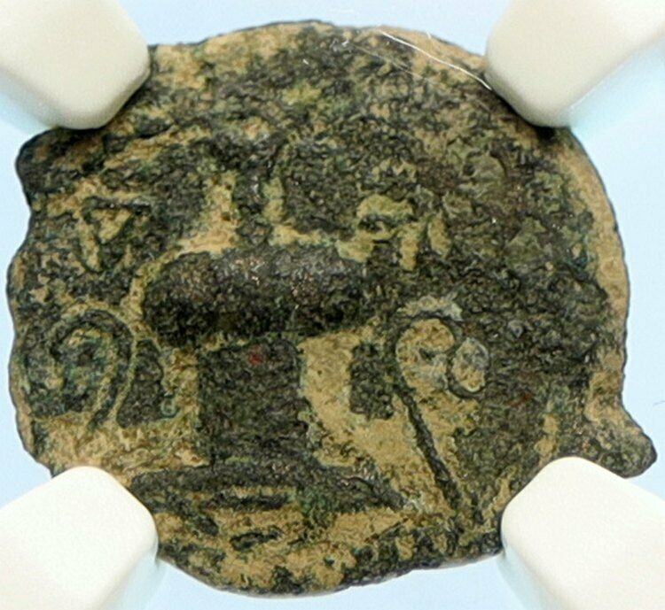 Authentic Ancient JEWISH WAR v ROMANS 68AD Yr3 JERUSALEM Coin AMPHORA NGC i97538