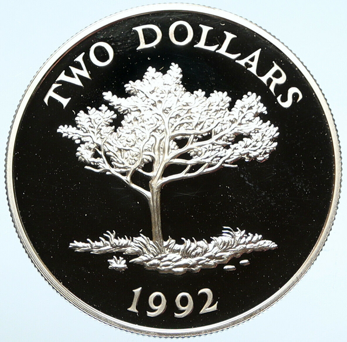 1992 BERMUDA British Colony Elizabeth II CEDAR TREE Proof Silver $2 Coin i99034