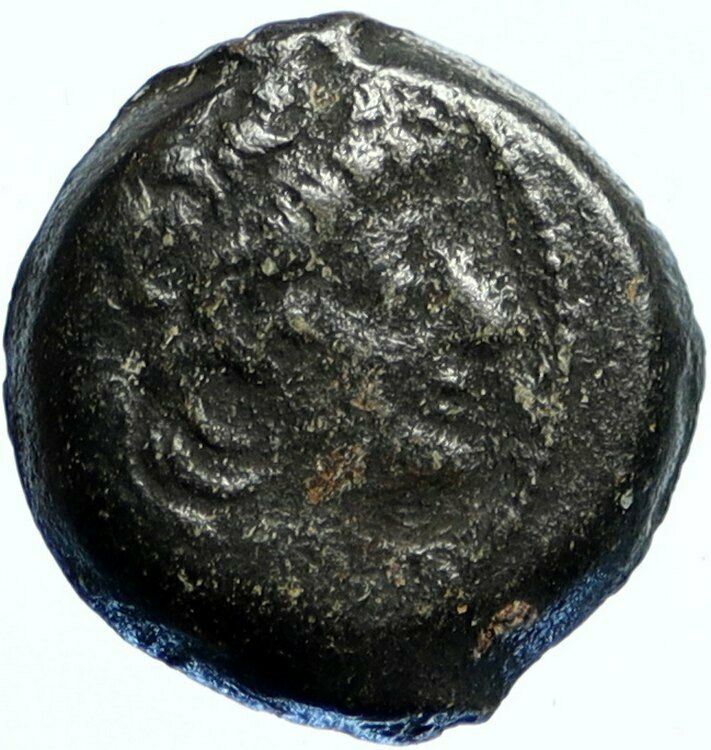 ALEXANDER II ZABINAS Seleukid Authentic Ancient OLD Greek Coin CORNUCOPIA i99459