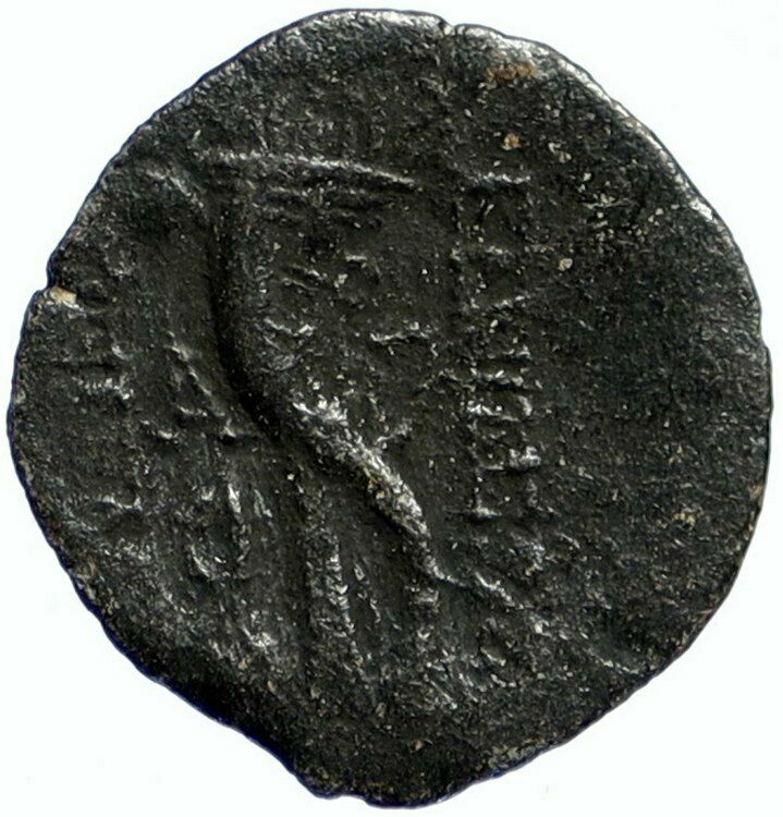 ALEXANDER II ZABINAS Seleukid Authentic Ancient OLD Greek Coin CORNUCOPIA i99459