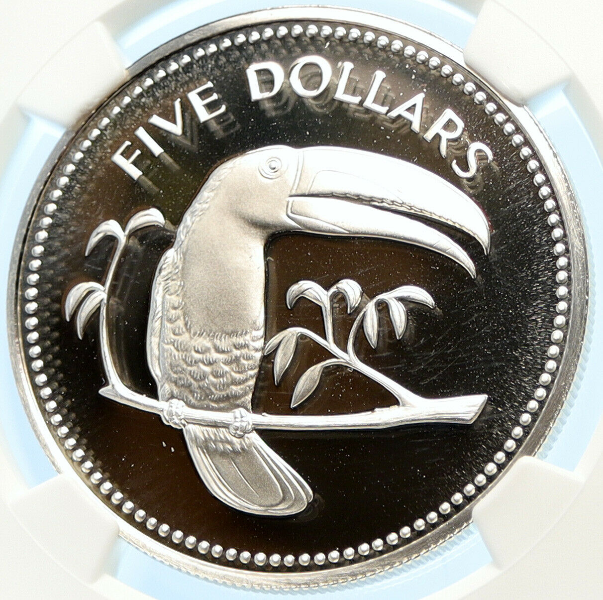 1978 BELIZE Avifauna Toucan BIRD Antique VINTAGE Proof Silver $5 Coin NGC i98427