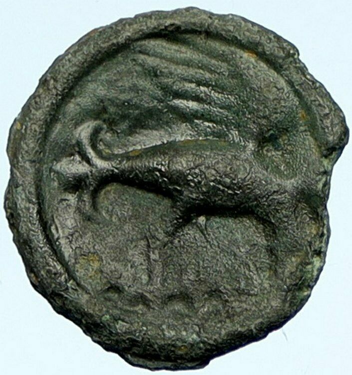 CELTIC Carnutes Tribe GAUL Authentic OLD Ancient Coin like Greek EAGLE i98505