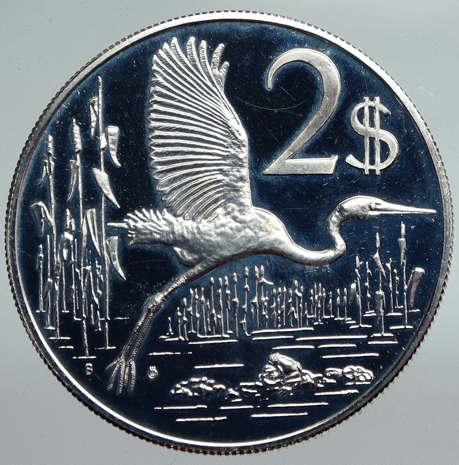 1973 CAYMAN ISLANDS Bird GREAT BLUE HERON Vintage Proof Silver $2 Coin i90824