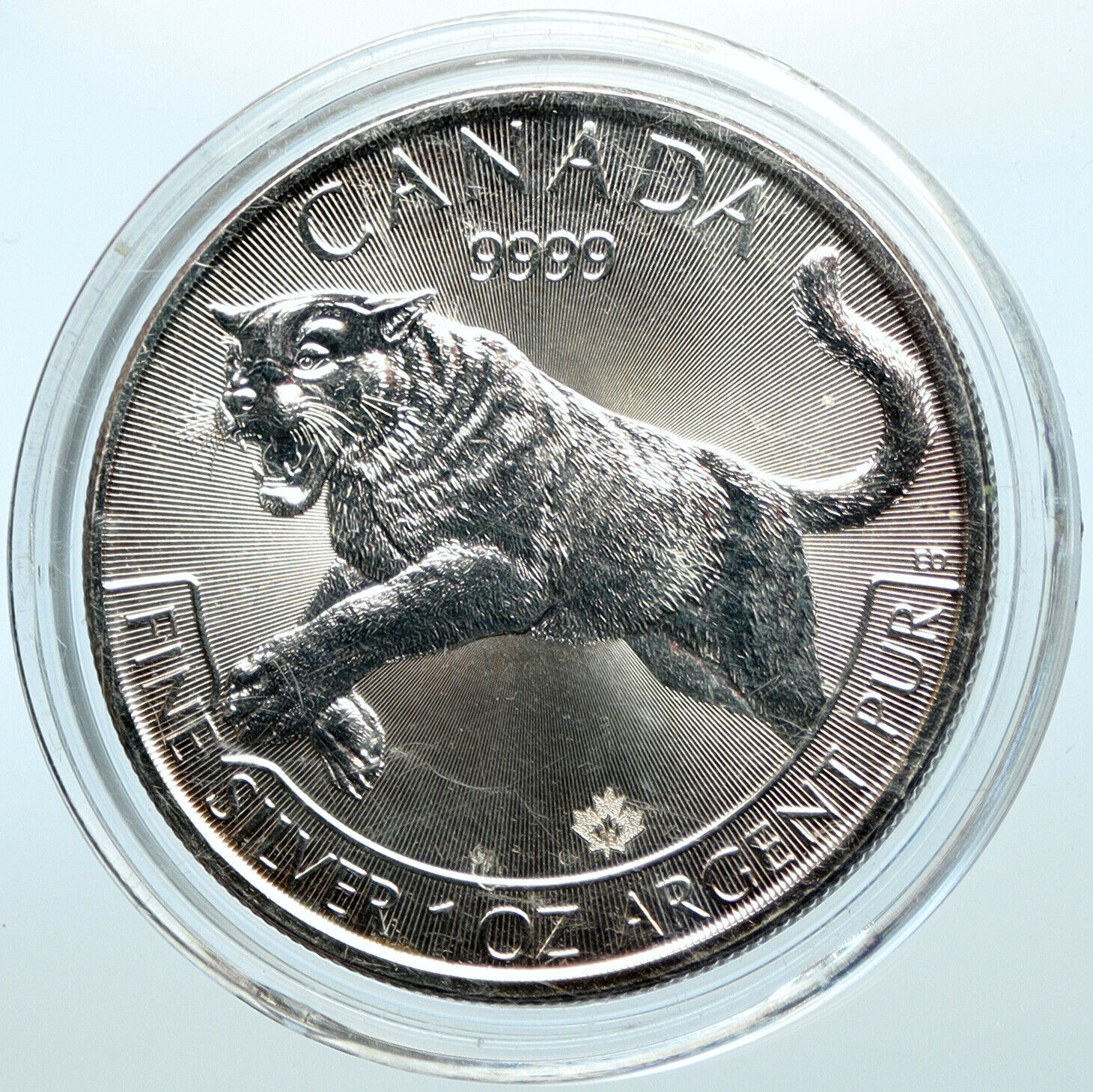 2016 CANADA Queen Elizabeth II COUGAR TIGER Proof Silver 5 Dollar Coin i100720