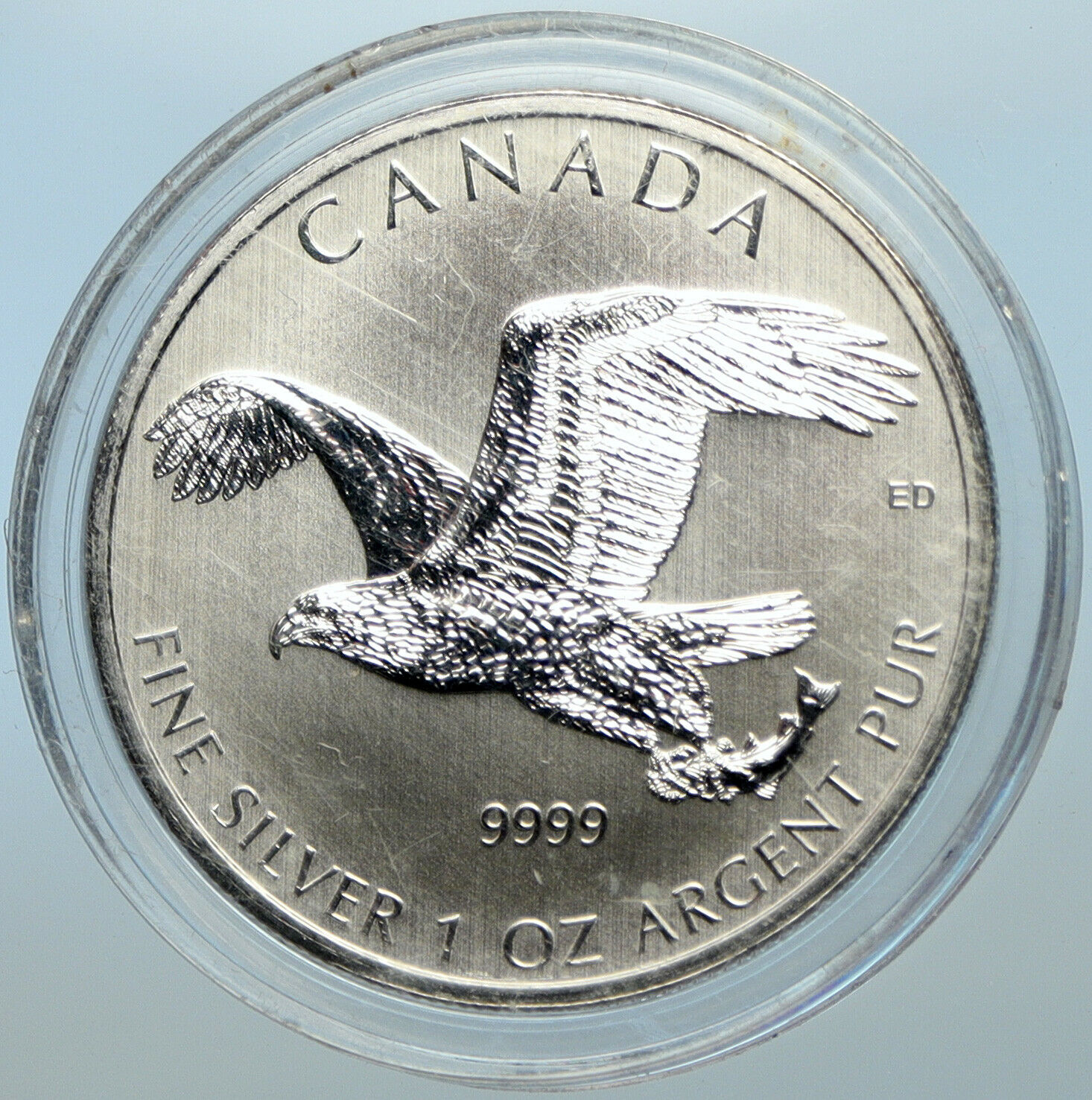 2014 CANADA UK Queen Elizabeth II BALD EAGLE Wildlife 1OZ Silver $5 Coin i100721