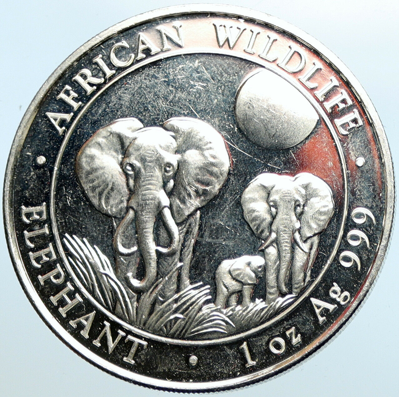 2014 SOMALIA REPUBLIC Elephant African Wildlife Proof Silver 100Sh Coin i100696