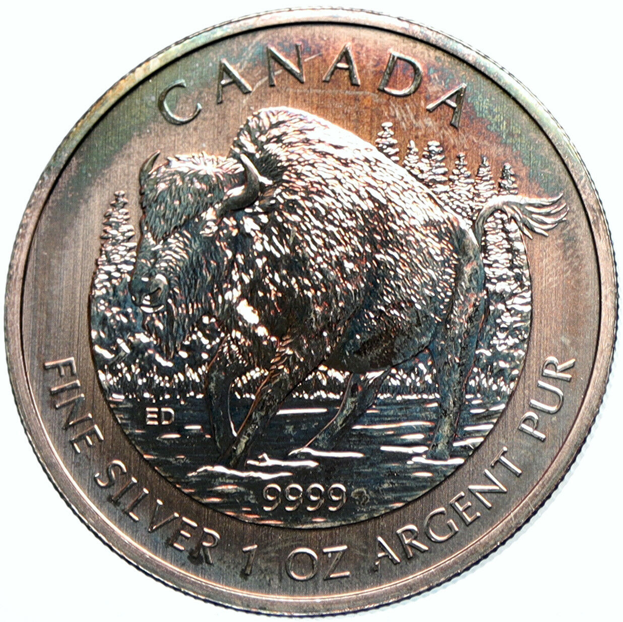 2013 CANADA UK Queen Elizabeth II Bison 1 OZ Genuine OLD Silver $5 Coin i100708