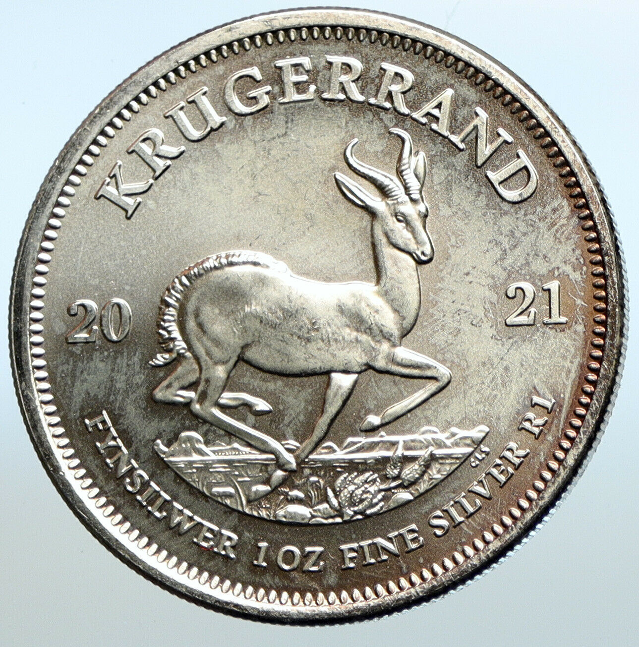 2021 SOUTH AFRICA President Kruger SPRINGBOK Deer OZ Silver Rand Coin i100674