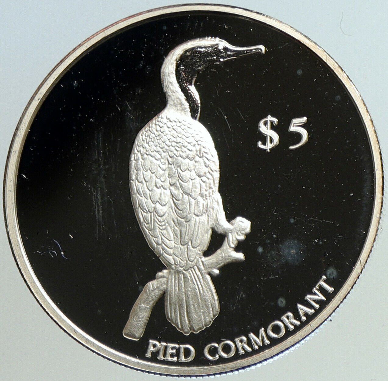 2000 NEW ZEALAND Elizabeth II Pied Cormorant BIRD Proof Silver $5 Coin i101157