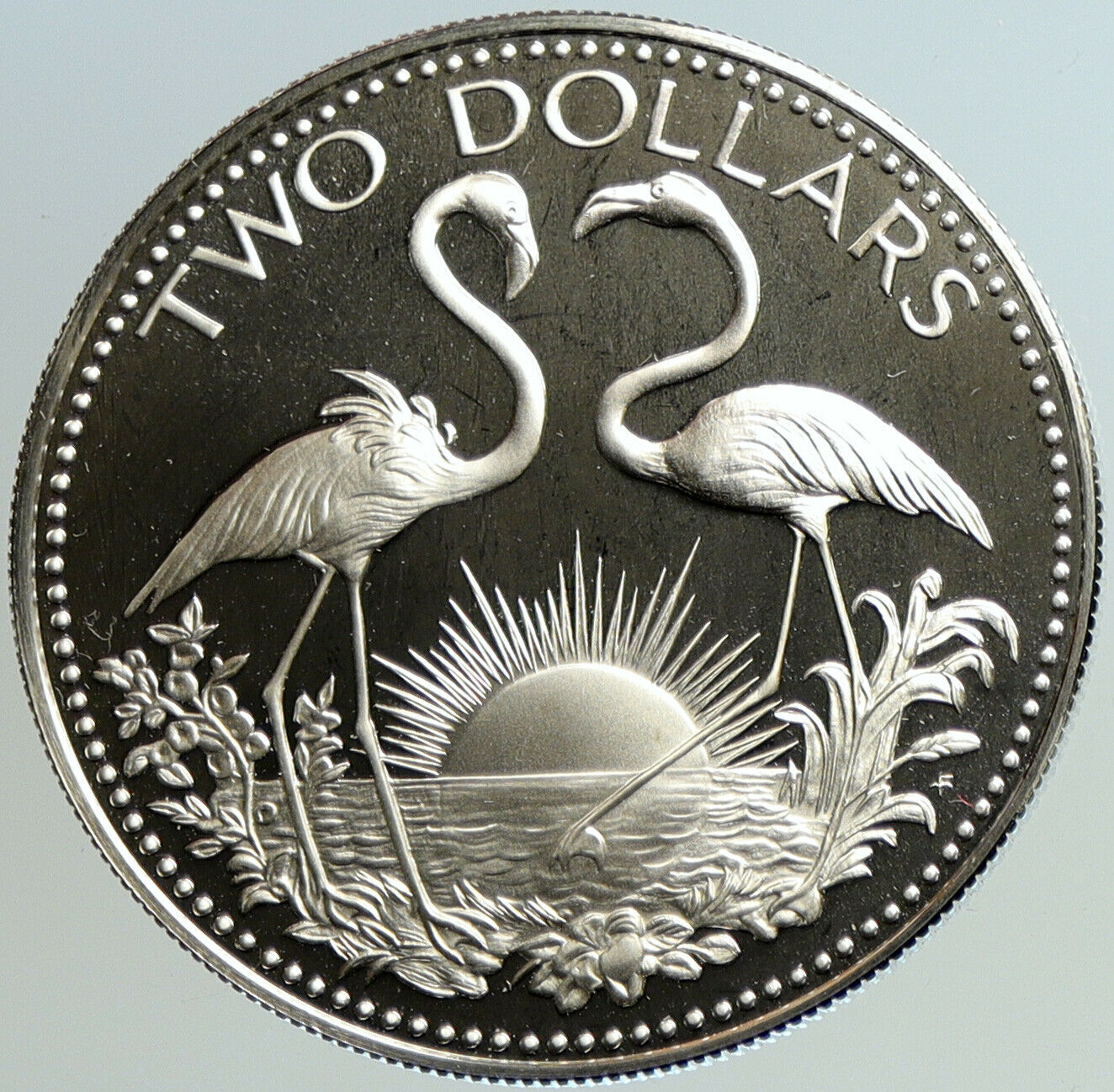 1975 BAHAMAS Islands TWO FLAMINGOS Vintage Proof Silver 2 Dollars Coin i101171