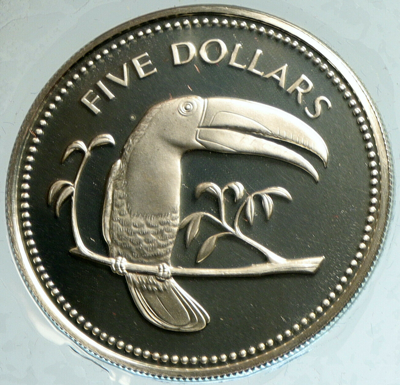 1974 BELIZE Avifauna Toucan BIRD Antique VINTAGE Proof Silver $5 Coin i103109