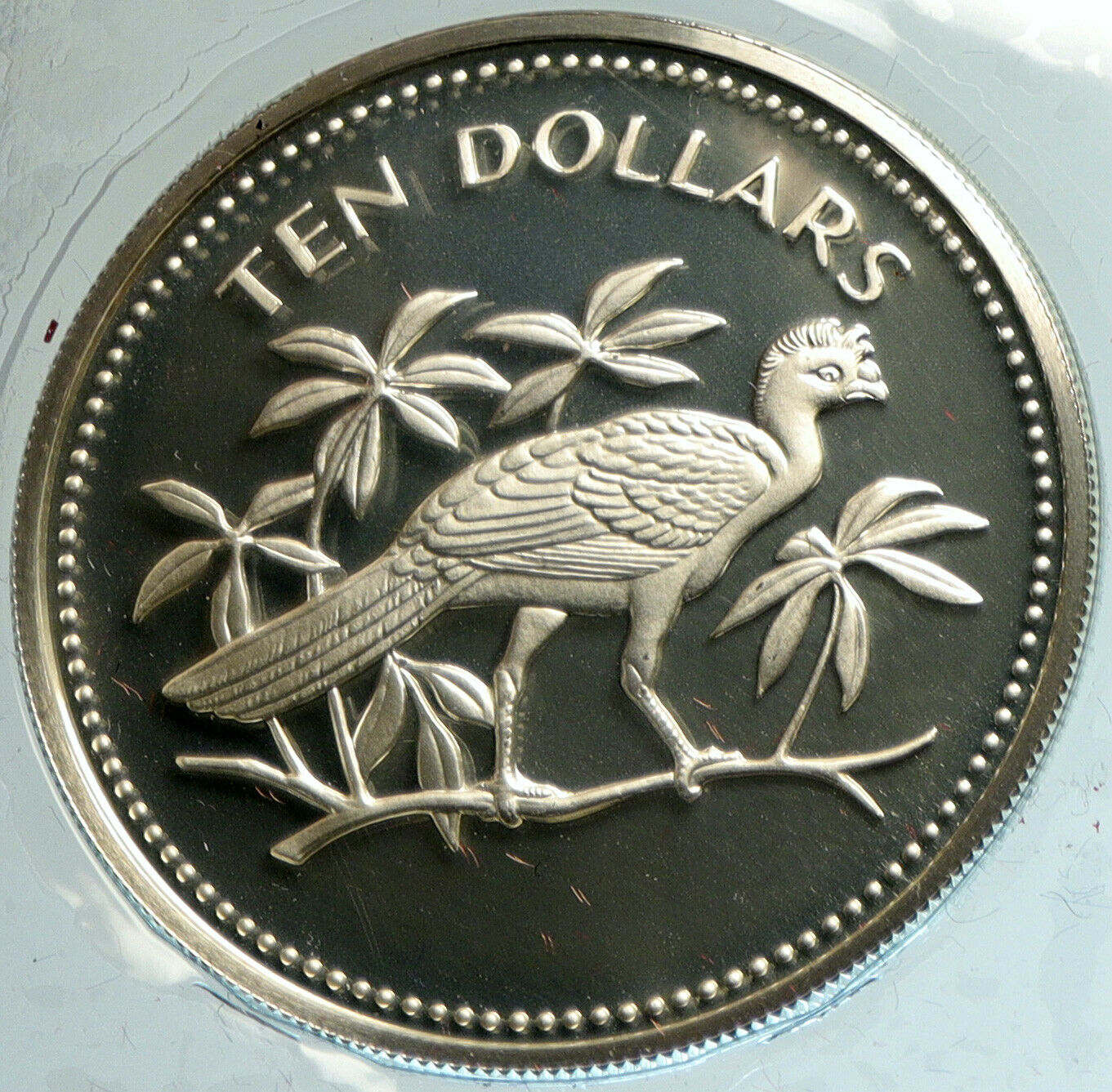 1974 BELIZE Avifauna Great Curasso BIRD VINTAGE Proof Silver $10 Coin i103108