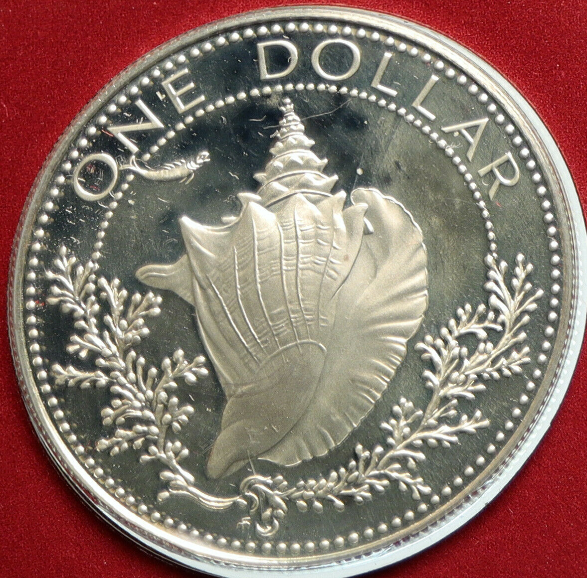 1977 BAHAMAS Pretty CONCH SHELL Vintage OLD Proof Silver Dollar Coin i103106