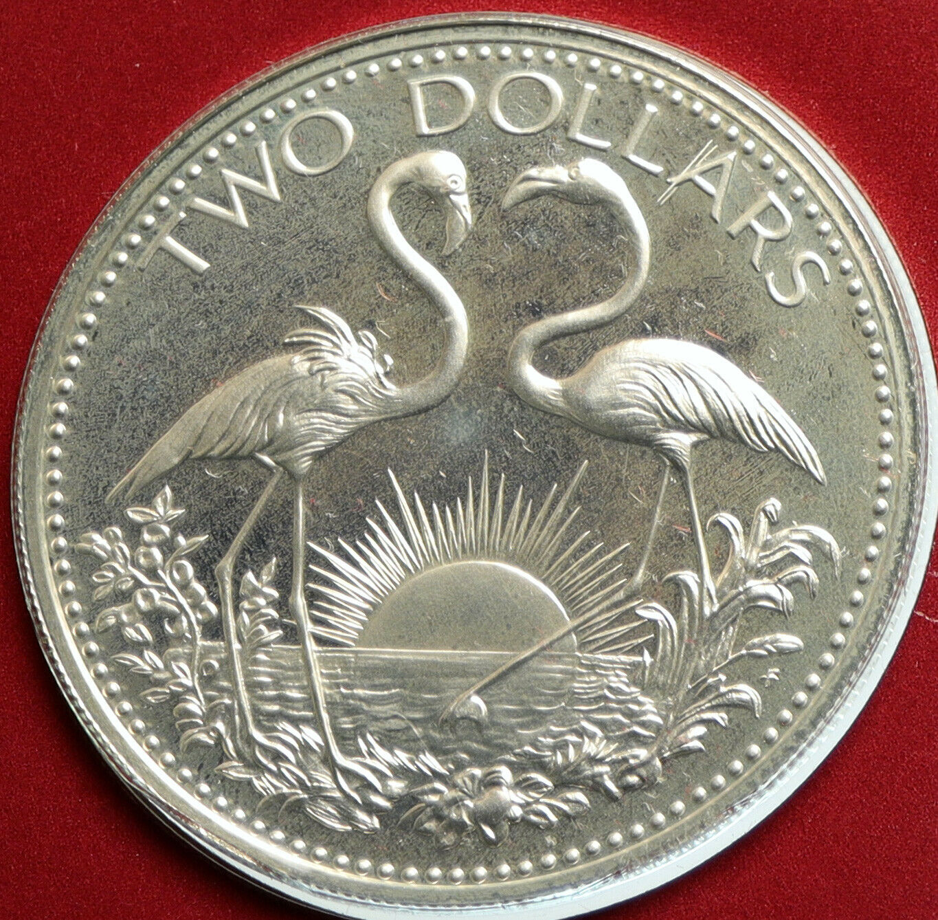 1977 The BAHAMAS Vintage OLD Two FLAMINGOS Sun Proof Silver $2 Coin i103105