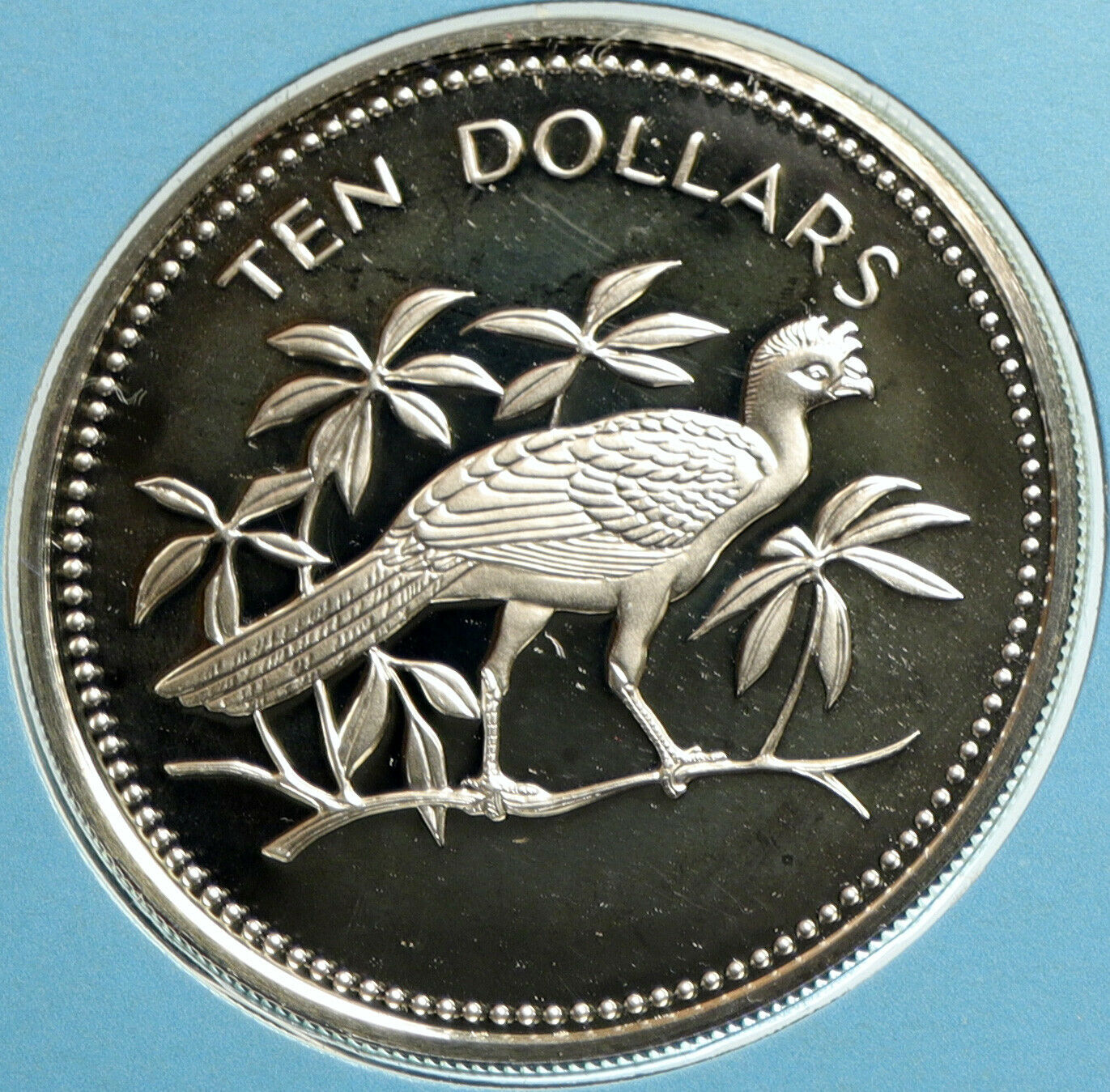 1978 BELIZE Avifauna Great Curasso BIRD VINTAGE Proof Silver $10 Coin i103146