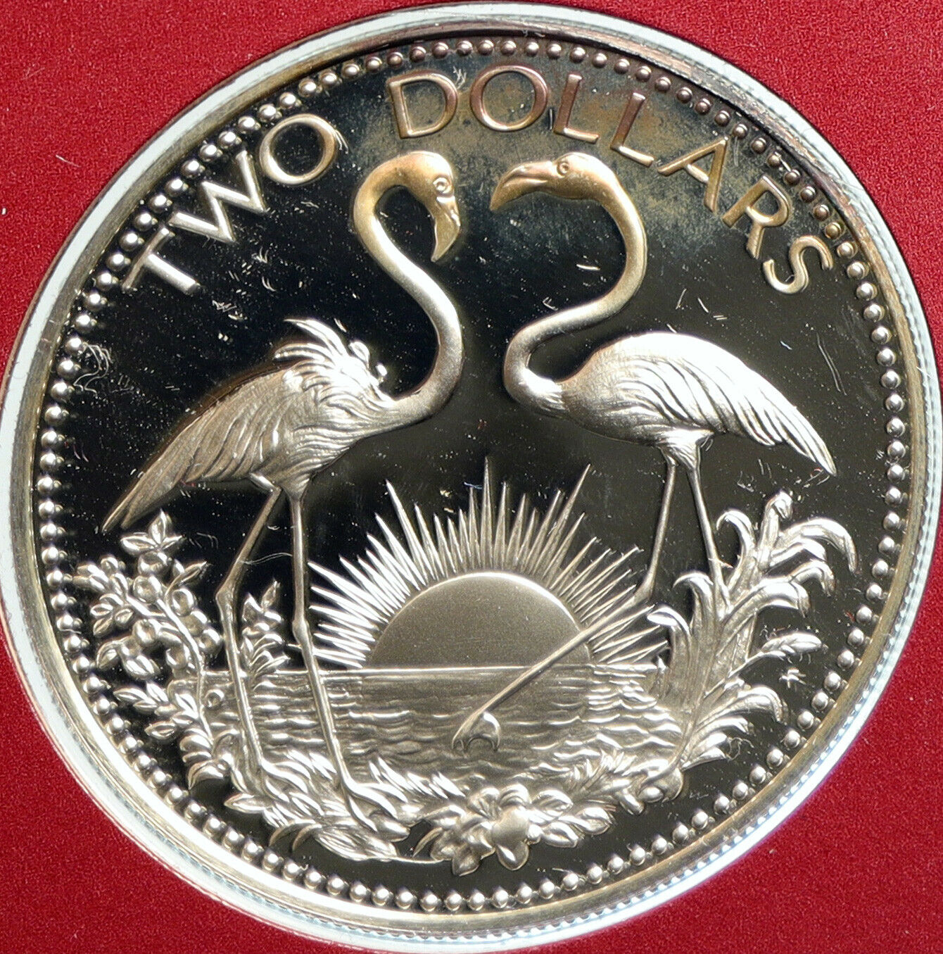 1976 The BAHAMAS Islands TWO FLAMINGOS Old Proof Silver 2 Dollar Coin i103098