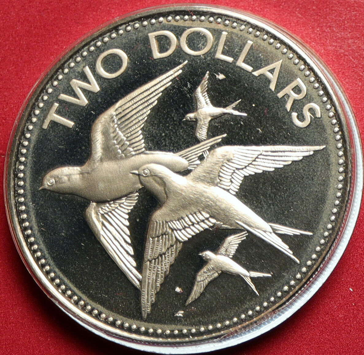 1982 BAHAMAS Islands BIRDS SWALLOWS Vintage OLD Proof 2 Dollars Coin i103147