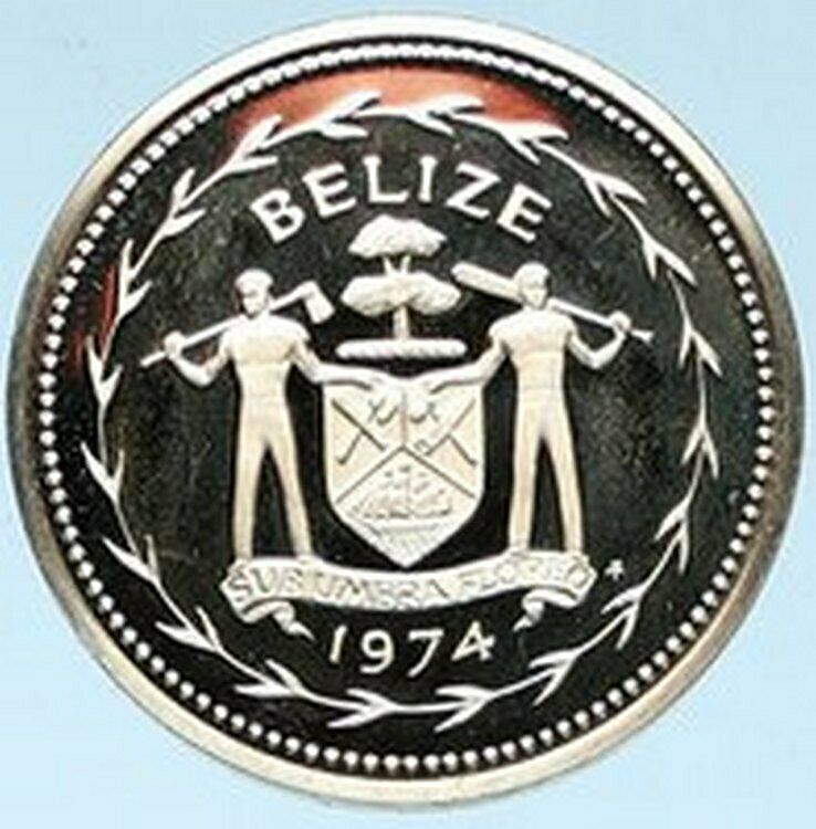 1974 BELIZE Avifauna FORK TAILED FLYCATCHER BIRD Proof Silver 5Cent Coin i102803