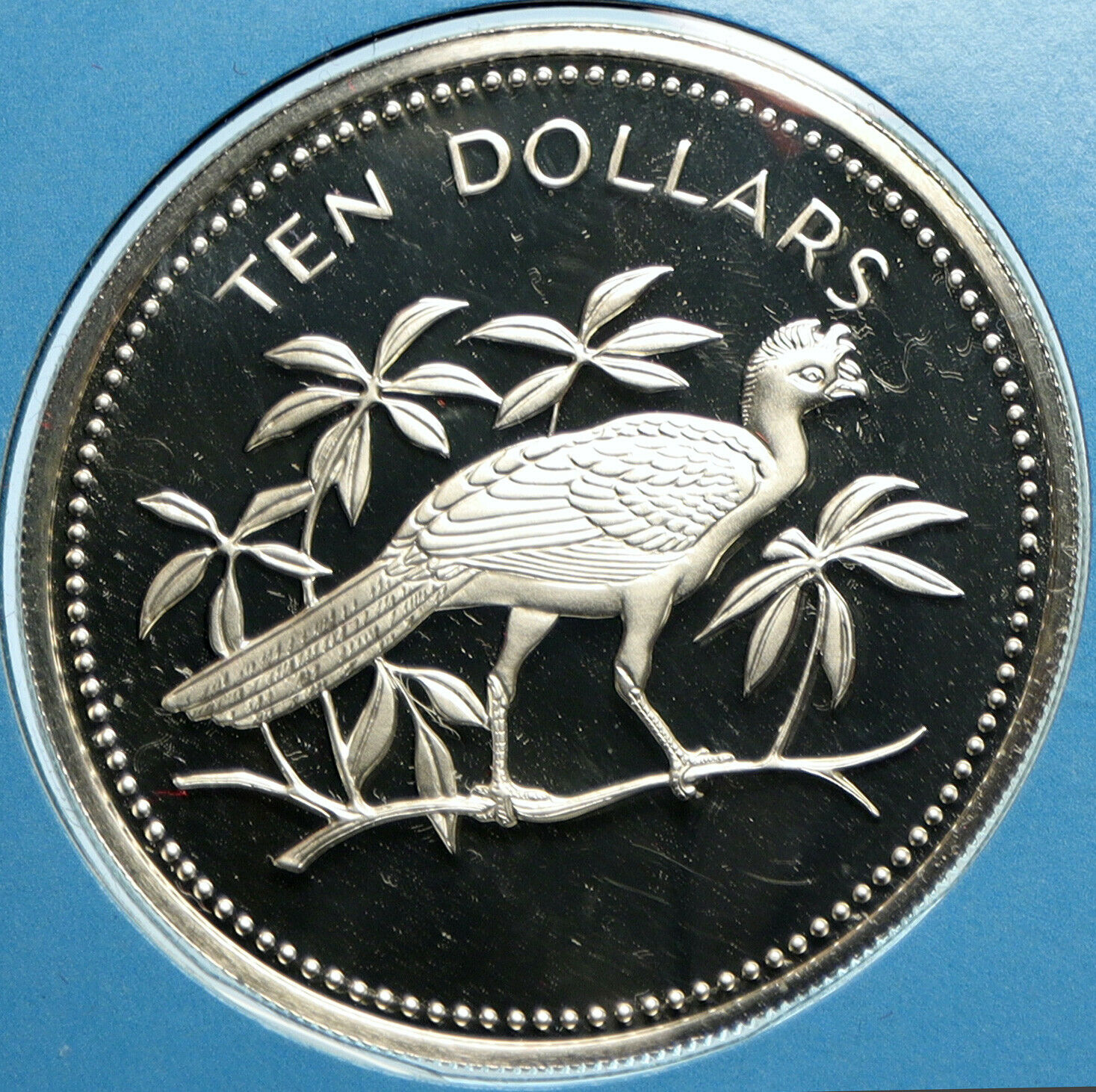 1975 BELIZE Avifauna Great Curasso BIRD VINTAGE Proof Silver $10 Coin i104108