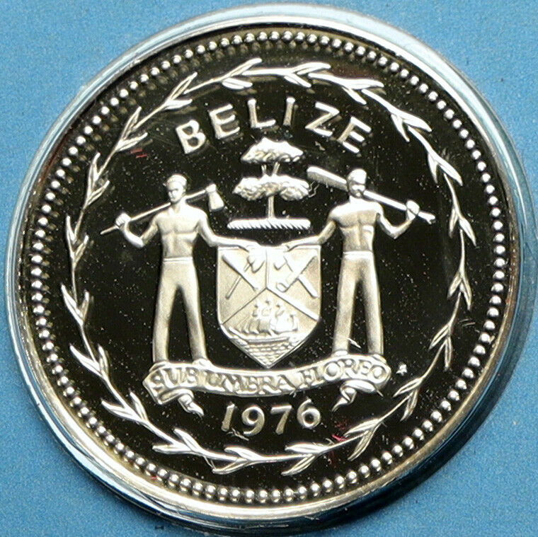 1976 BELIZE Avifauna FORK TAILED FLYCATCHER BIRD Proof Silver 5Cent Coin i104116