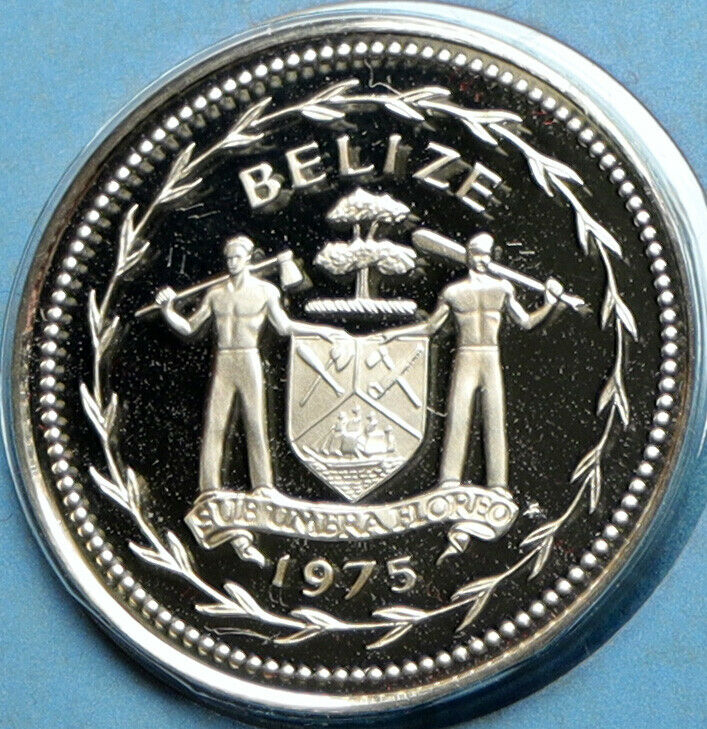 1975 BELIZE Avifauna FORK TAILED FLYCATCHER BIRD Proof Silver 5Cent Coin i104121