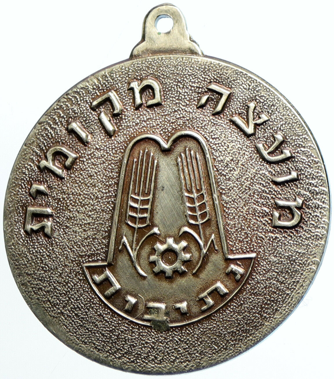 ISRAEL City of NETIVOT Moshav WESTERN NEGEV Desert Vintage Old Medal i102596