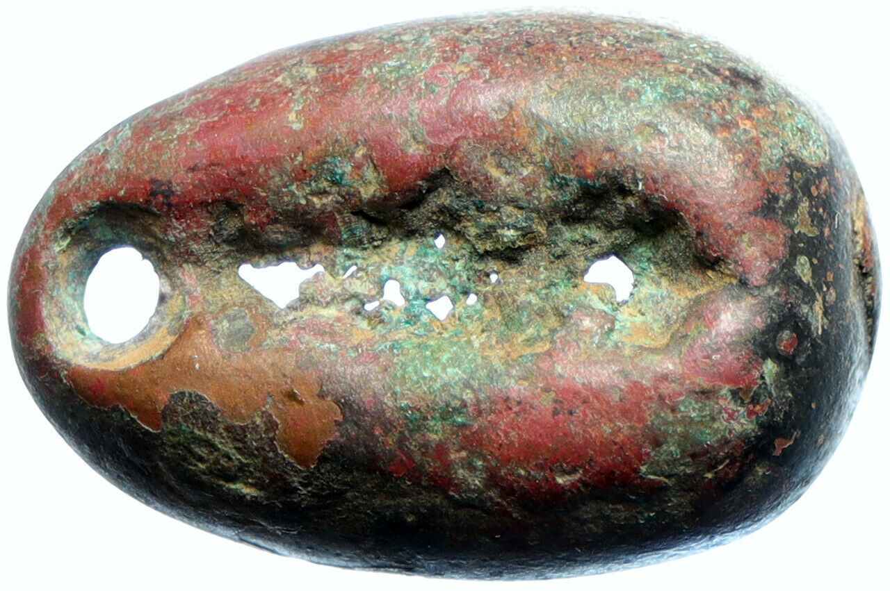 c.700BC Ancient CHINA Chinese ZHOU Chou Dynasty COWRIE MONEY Large Token i102619