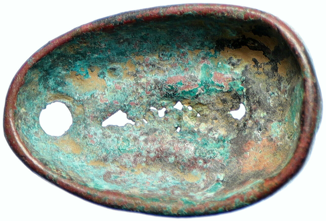 c.700BC Ancient CHINA Chinese ZHOU Chou Dynasty COWRIE MONEY Large Token i102619