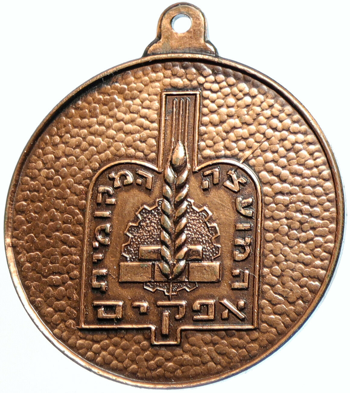 ISRAEL Settlement of AFIKIM Kibbutz City JORDAN VALLEY Old Vintage Medal i102598