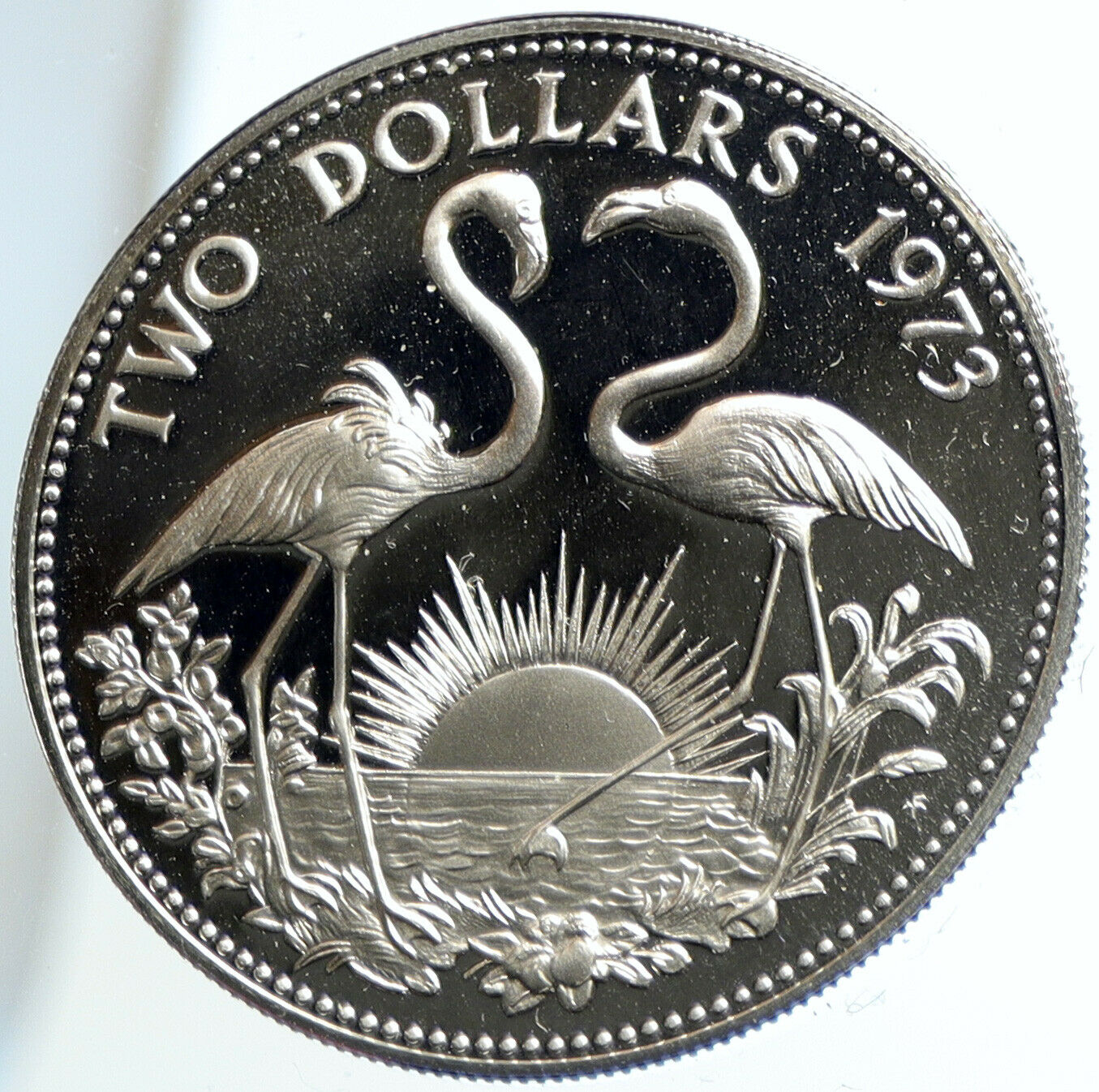 1973 The BAHAMAS UK Queen Elizabeth II FLAMINGO Old Proof Silver $2 Coin i104634