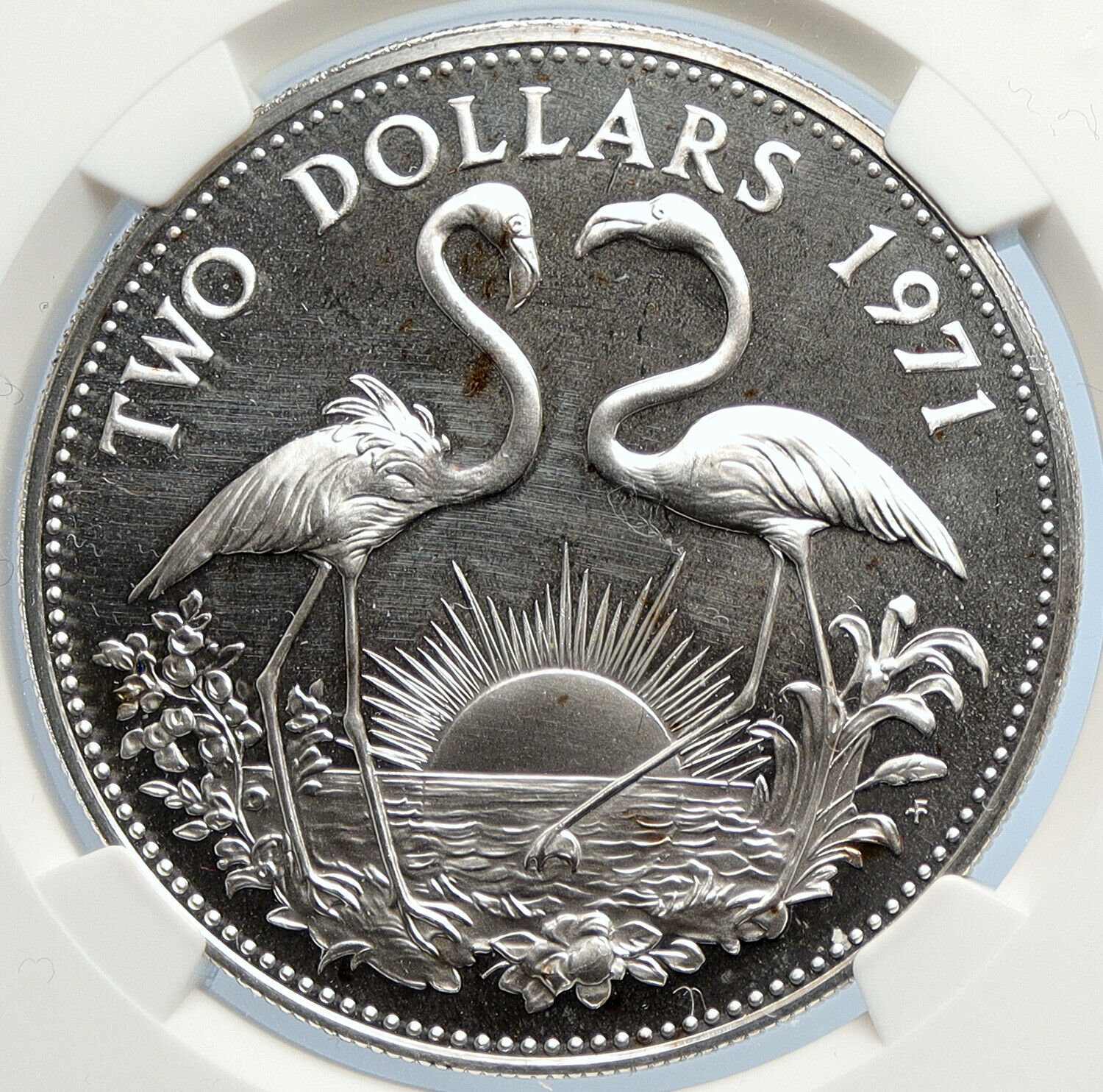 1971 The BAHAMAS Elizabeth II FLAMINGO Birds SILVER 2 Dollars Coin NGC i105644