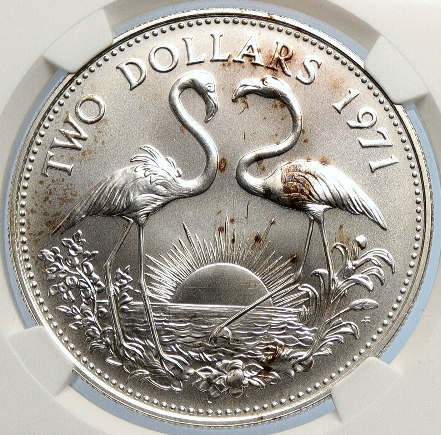 1971 The BAHAMAS Elizabeth II FLAMINGO Birds SILVER 2 Dollars Coin NGC i105621