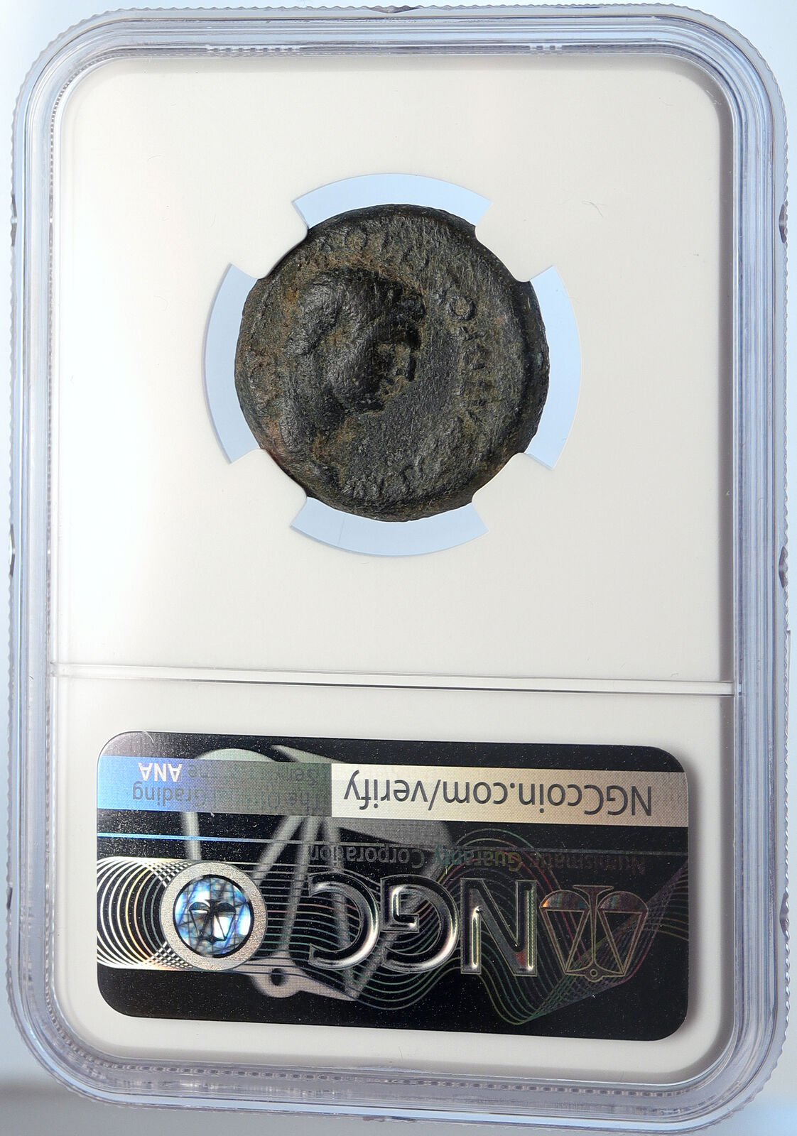 TITUS and DOMITIAN c.70AD Cilicia Olba Authentic Ancient Roman Coin NGC i105731