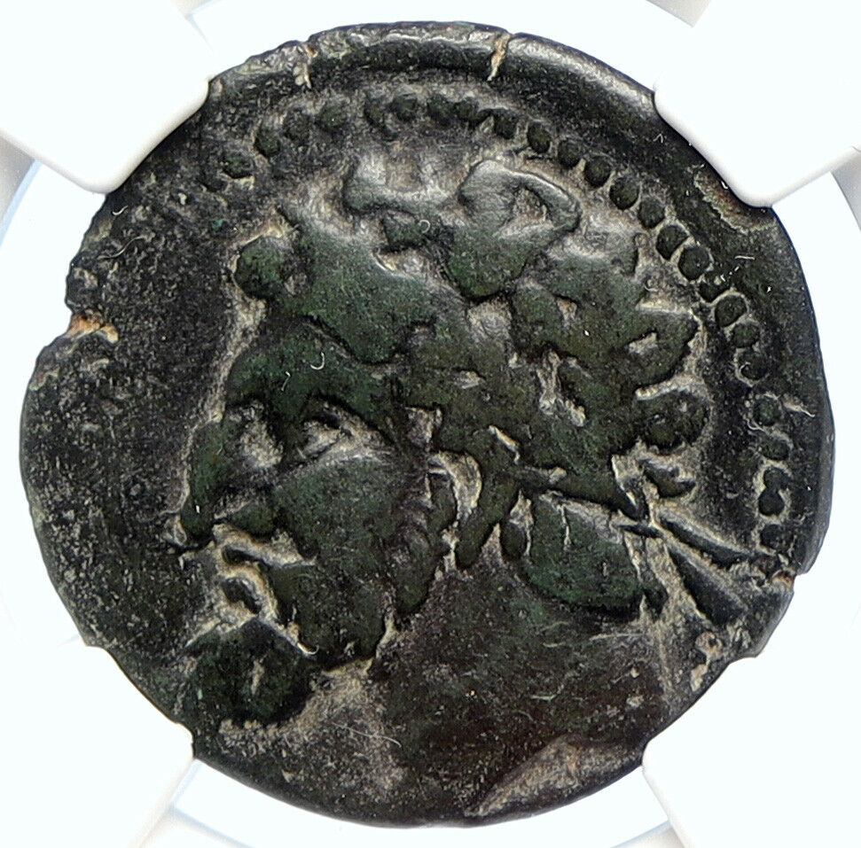 KINGDOM OF NUMIDIA MICIPSA Massinissa Ancient Greek Roman Style Coin NGC i105728