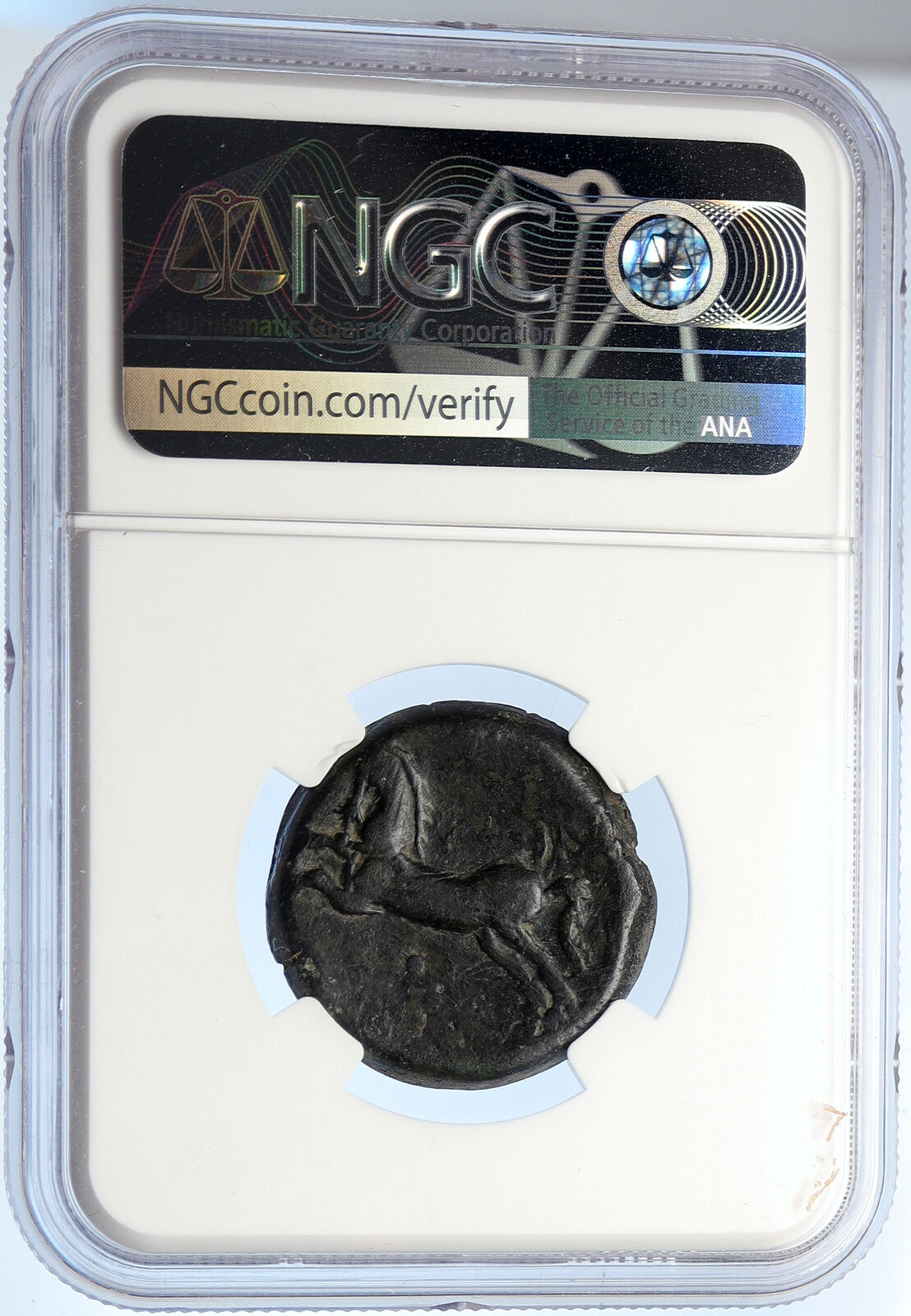 KINGDOM OF NUMIDIA MICIPSA Massinissa Ancient Greek Roman Style Coin NGC i105728