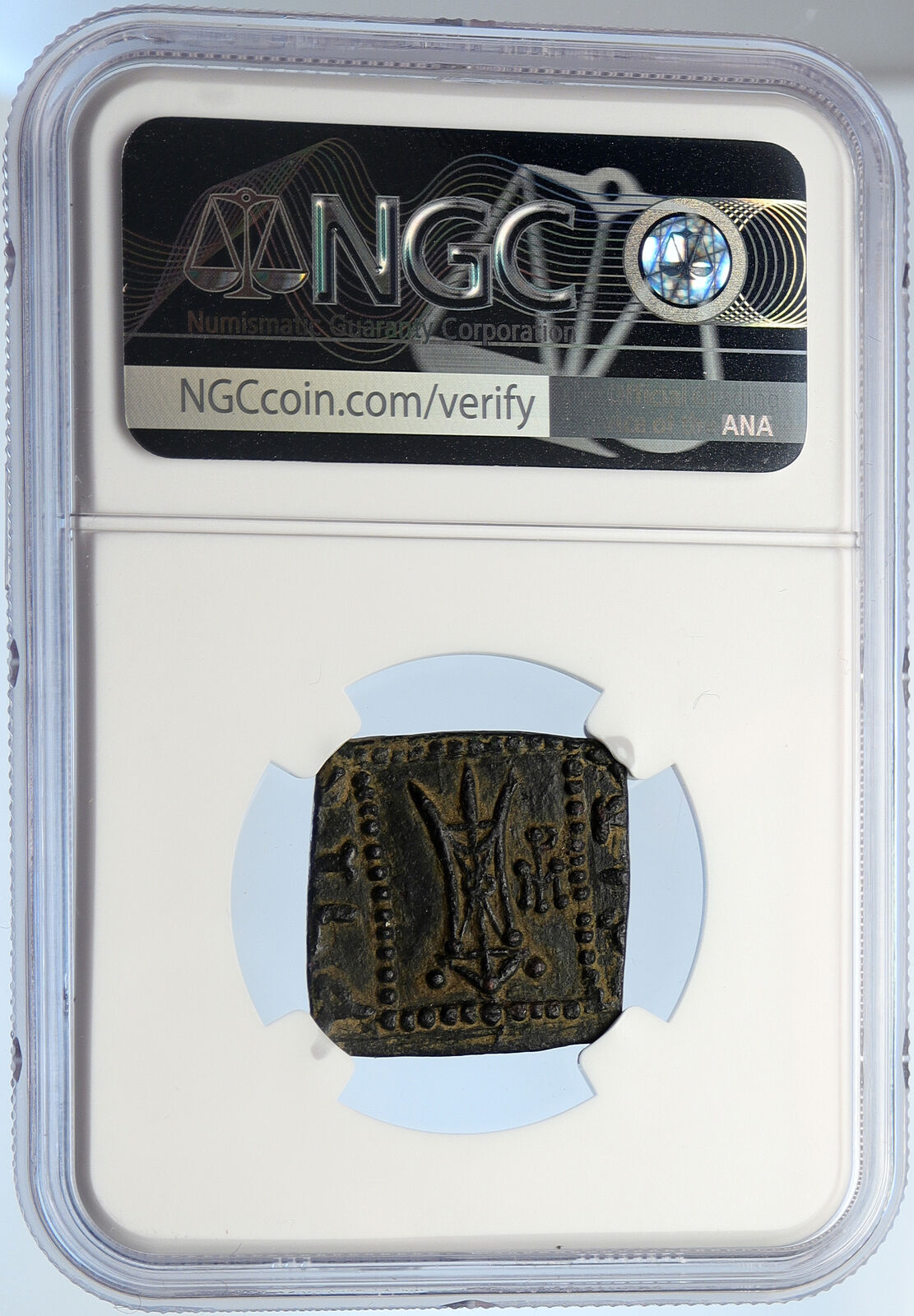 APOLLODOTOS I Baktrian Indo Greek Indian King APOLLO BOW ARROW Coin NGC i105725