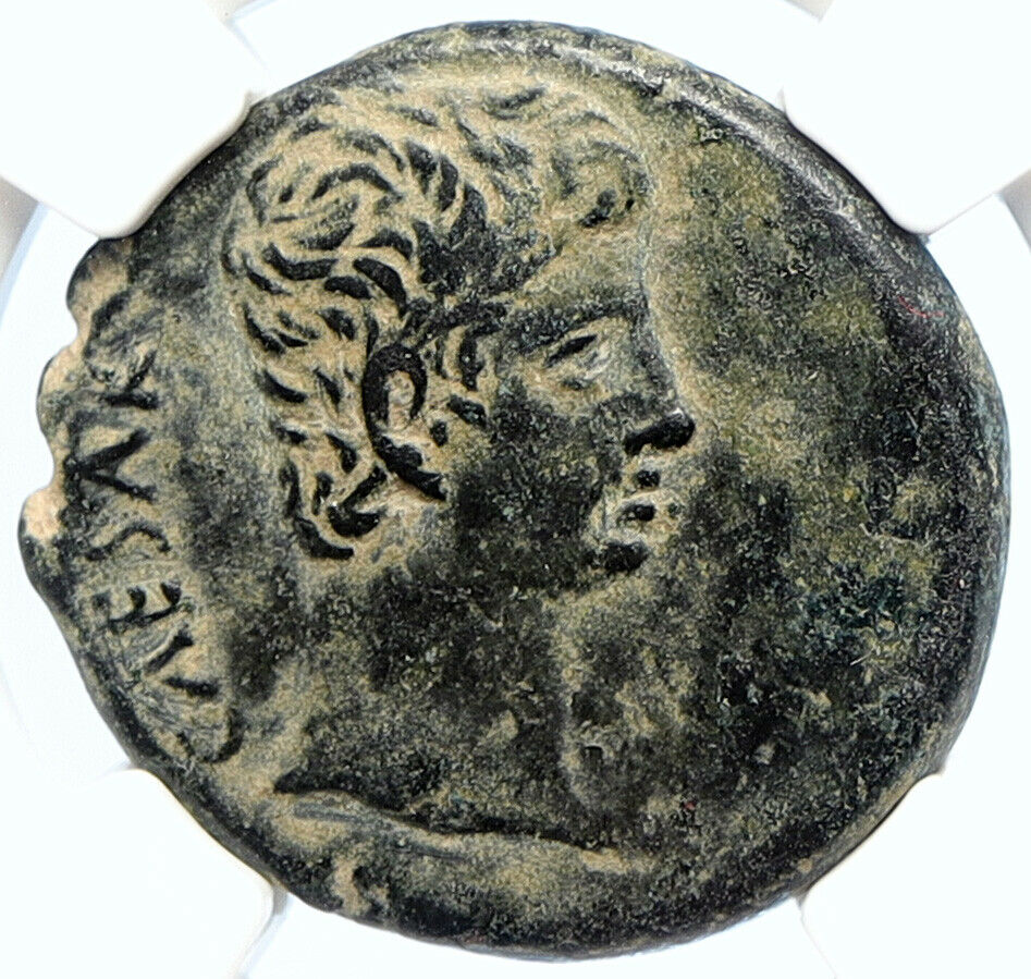 AUGUSTUS 27BC-14AD Asia Ephesus Rare Authentic Ancient Roman Coin NGC i105733