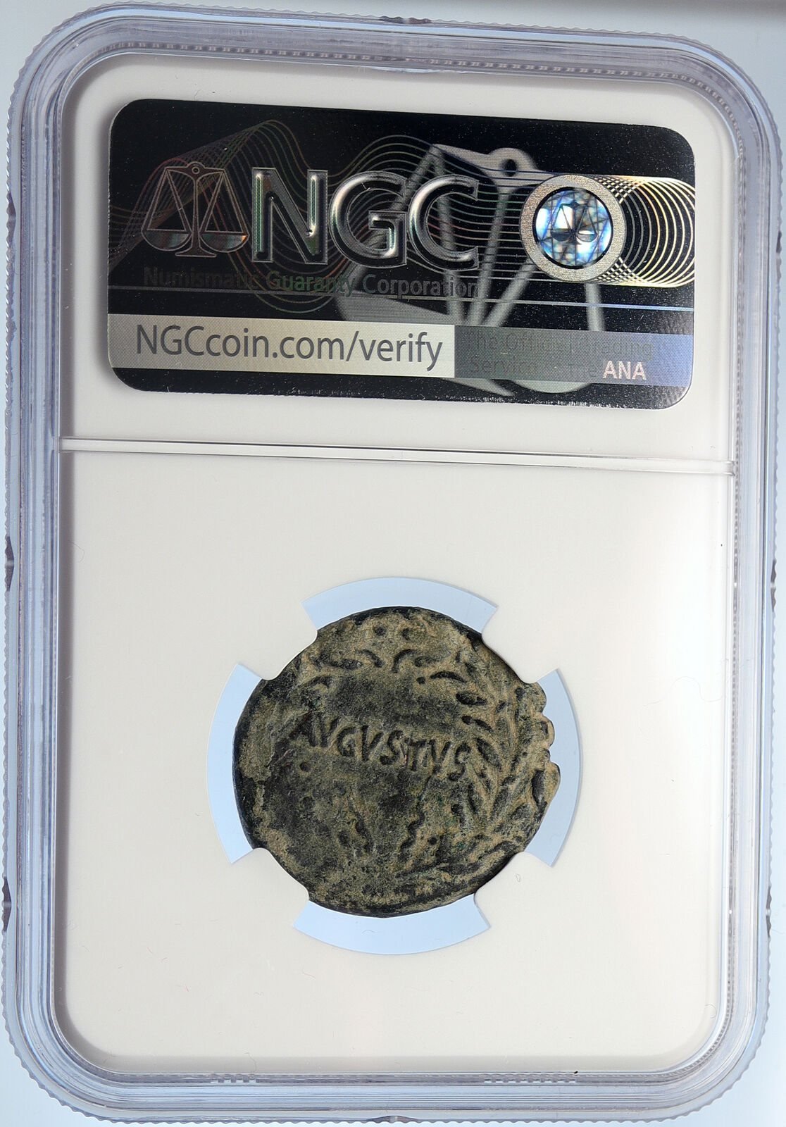 AUGUSTUS 27BC-14AD Asia Ephesus Rare Authentic Ancient Roman Coin NGC i105733