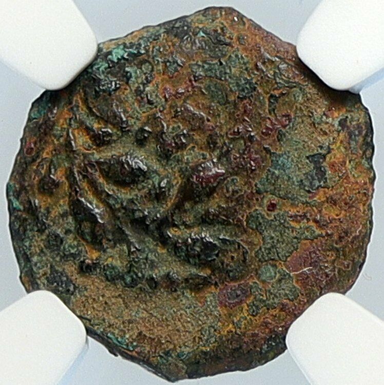 PONTIUS PILATE Tiberius Jerusalem JESUS CHRIST TRIAL Old Roman Coin NGC i105971