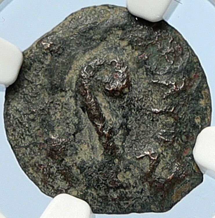 PONTIUS PILATE Tiberius Jerusalem JESUS CHRIST TRIAL Old Roman Coin NGC i106007