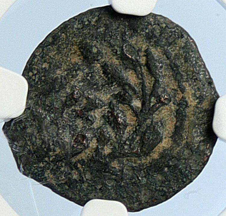 PONTIUS PILATE Tiberius Jerusalem JESUS CHRIST TRIAL Old Roman Coin NGC i106007