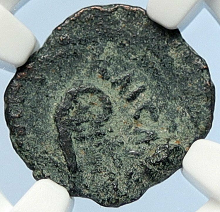 PONTIUS PILATE Tiberius Jerusalem JESUS CHRIST TRIAL Old Roman Coin NGC i106005