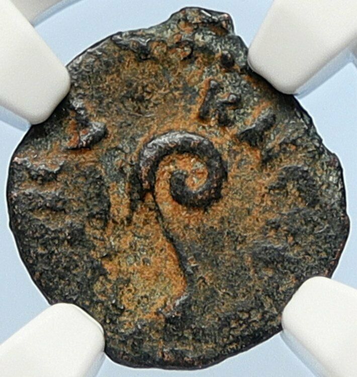 PONTIUS PILATE Tiberius Jerusalem JESUS CHRIST TRIAL Old Roman Coin NGC i106011