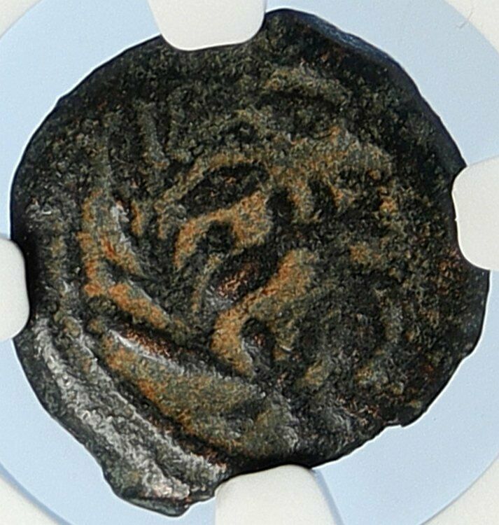 PONTIUS PILATE Tiberius Jerusalem JESUS CHRIST TRIAL Old Roman Coin NGC i106011