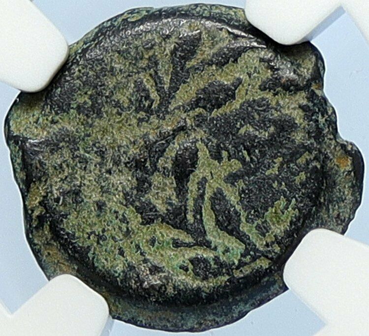 PONTIUS PILATE Tiberius Jerusalem JESUS CHRIST TRIAL Old Roman Coin NGC i106022