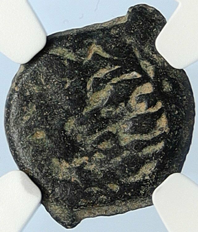 PONTIUS PILATE Tiberius Jerusalem JESUS CHRIST TRIAL Old Roman Coin NGC i106010