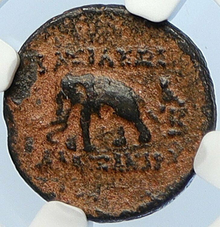 Alexander I Balas Seleucid Kingdom ANTIQUE Ancient Greek Coin ELEPHANT i106038