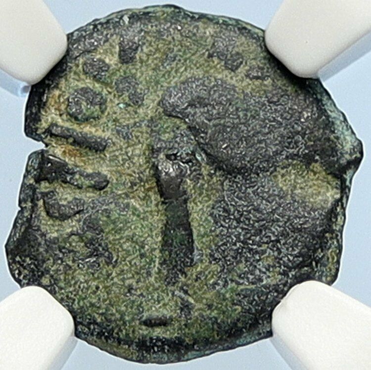 PONTIUS PILATE Tiberius Jerusalem JESUS CHRIST TRIAL Old Roman Coin NGC i106014